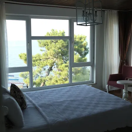 Sahil * Ordu